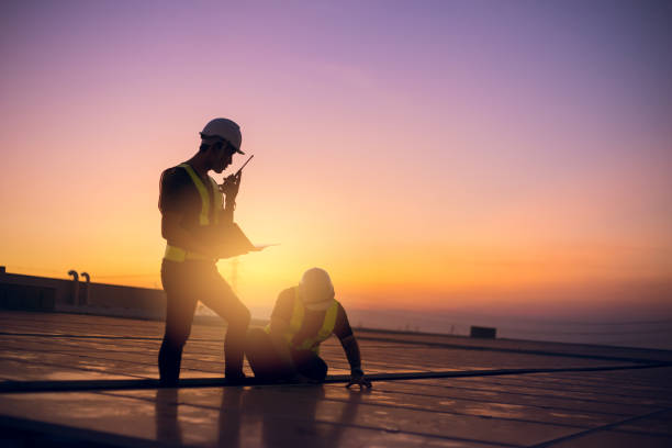 Best Roof Gutter Cleaning  in New Mford, IL