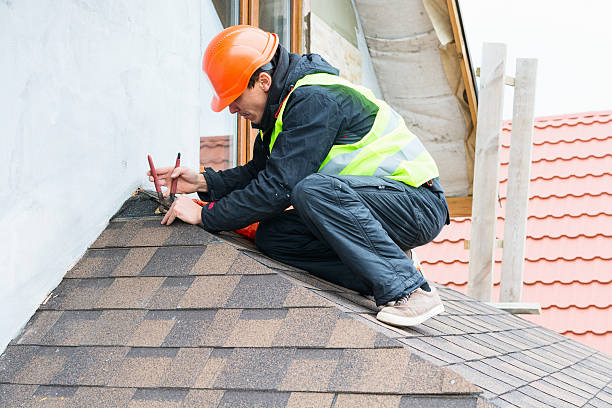 Best Storm Damage Roof Repair  in New Mford, IL